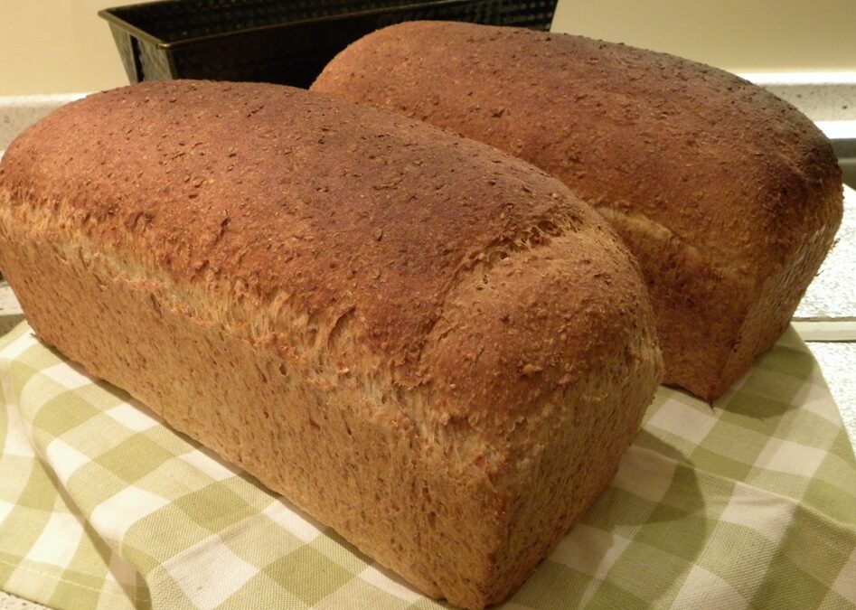 Dagelijks brood