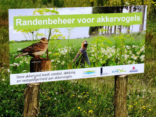 Akkervogels en een keukenprins aan zet
