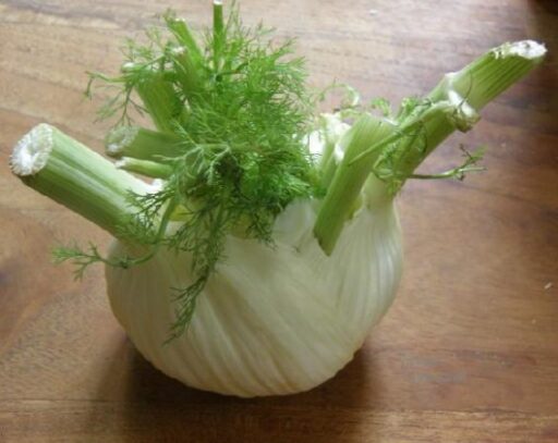 Lasagne met een vulling van spinazie, venkel en courgette