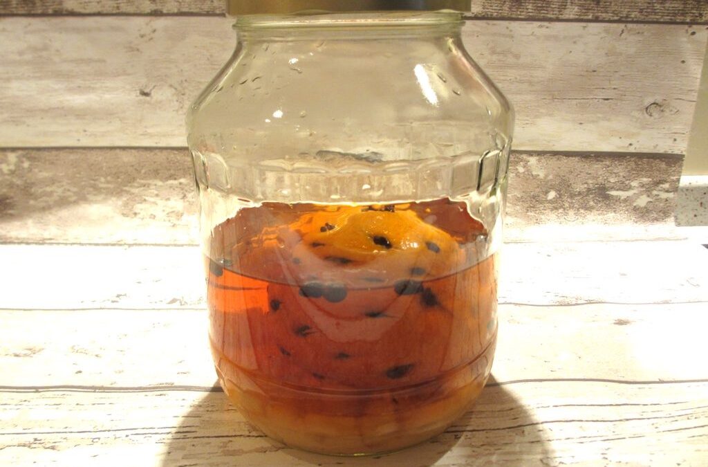 Grand Marnier de zelf-maken versie
