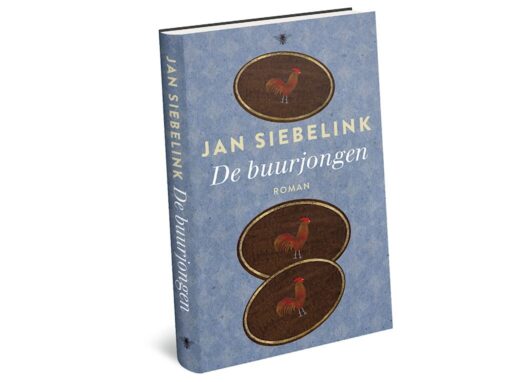 De buurjongen van Jan Siebelink