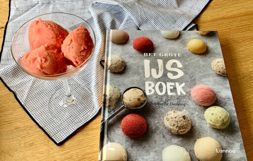 Het grote IJsboek – Christophe Declercq | boekreview
